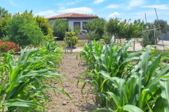 Bozcaada Karina Vineyard House Butik Otel